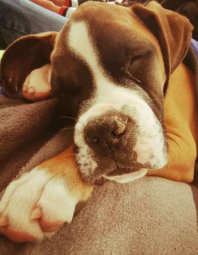 Foto Challenge Nr. 134-Beitrag-Bild