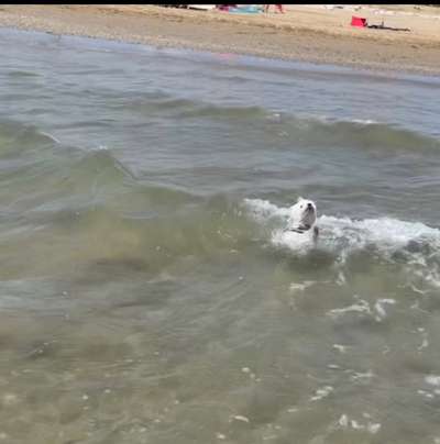 FOTOCHALLANGE NR.71 BADEFREUDE-Beitrag-Bild