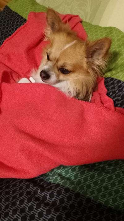 23. Farben / Fotochallenge - Türkis --Beitrag-Bild