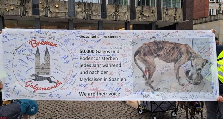 Windhunde - Treffen der besonderen Schönheiten
HERZLICH WILLKOMMEN-Beitrag-Bild