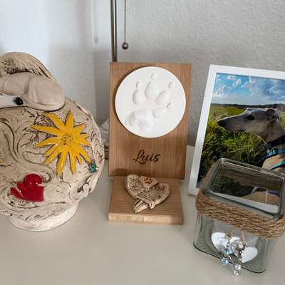 👉 Schläfern wir unsere Hunde zu schnell ein? 🤔-Beitrag-Bild