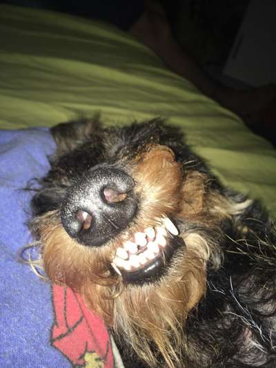 Challenge Nr. 10: "Das schönste Lächeln"-Beitrag-Bild