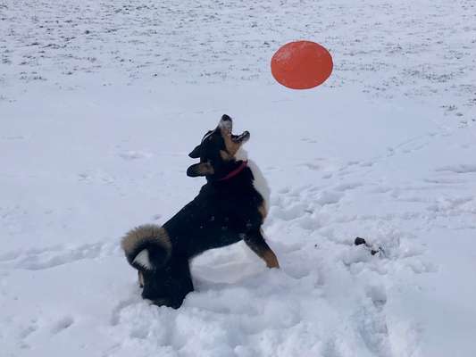 Zeigt doch mal eure Discdogs-Beitrag-Bild