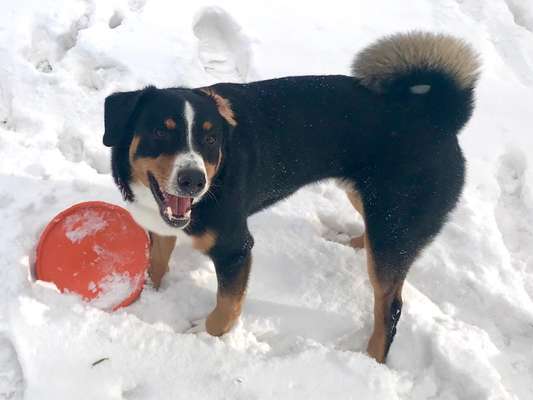 Zeigt doch mal eure Discdogs-Beitrag-Bild