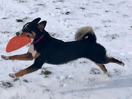 Zeigt doch mal eure Discdogs-Beitrag-Bild