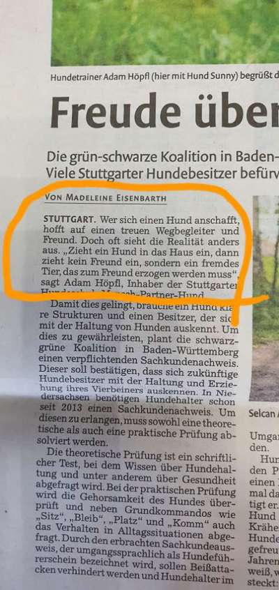 Hausgemachte Probleme-Beitrag-Bild