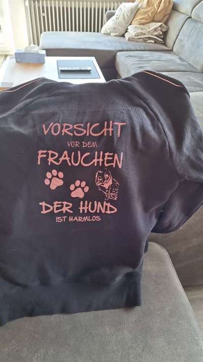 Hundesprüche-Beitrag-Bild