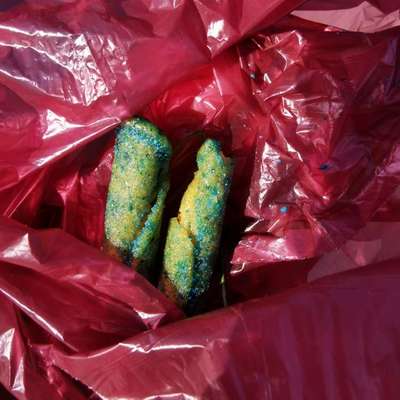 Giftköder-Giftköder Gebäck mit Schneckenkorn-Bild