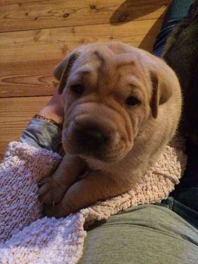 Vorher.... Nachher-Beitrag-Bild