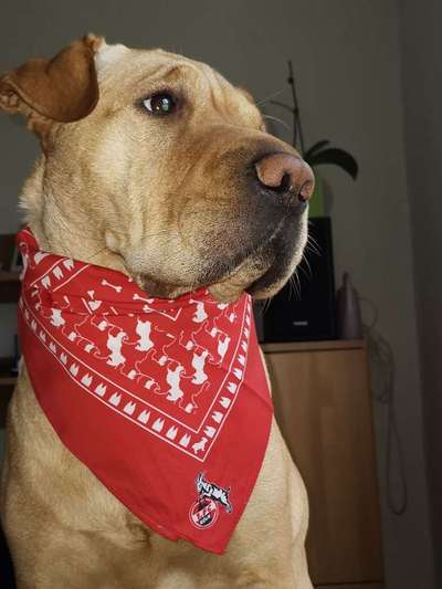 Vorher.... Nachher-Beitrag-Bild