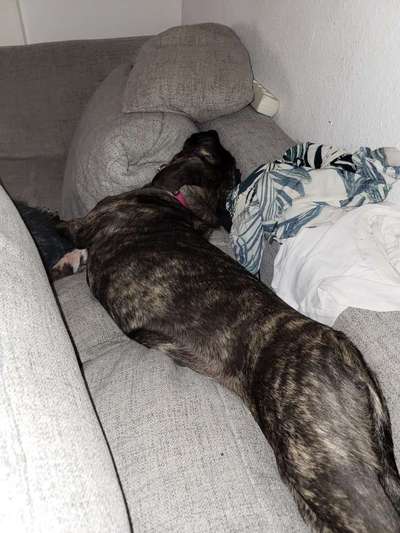 FOTO-Challenge  NR. 91: Die pure Entspannung-Beitrag-Bild