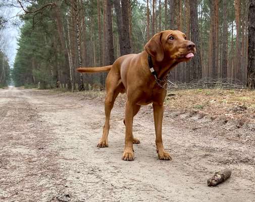 Fotochallange 84-Beitrag-Bild