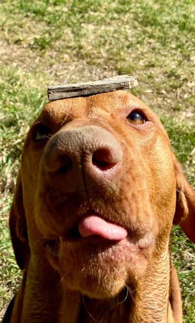 Lieblingsbild-Beitrag-Bild