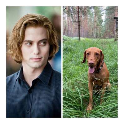 Wie heißt dein Hund?-Beitrag-Bild