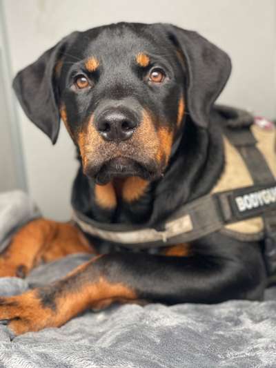 Fotochallange Nr. 57     PORTRÄT.   Beendet!!!!!!!!-Beitrag-Bild