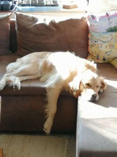 FOTO-Challenge  NR. 91: Die pure Entspannung-Beitrag-Bild