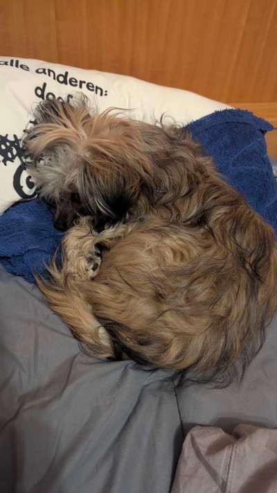 Freddys Kummerkasten-Beitrag-Bild