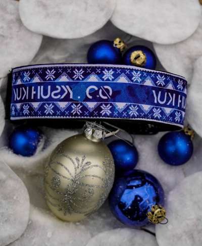 Weihnachtshalsbänder-Beitrag-Bild