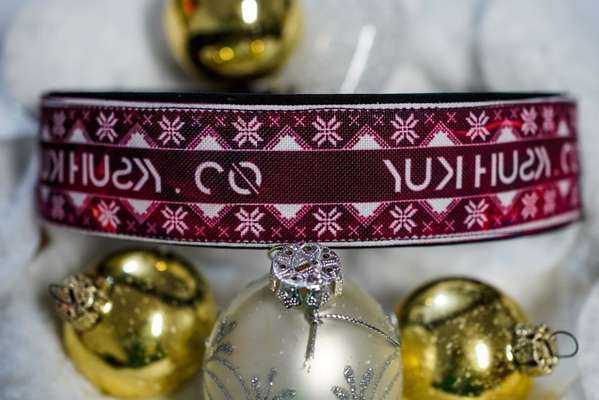 Weihnachtshalsbänder-Beitrag-Bild