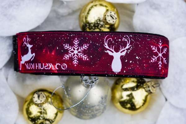 Weihnachtshalsbänder-Beitrag-Bild