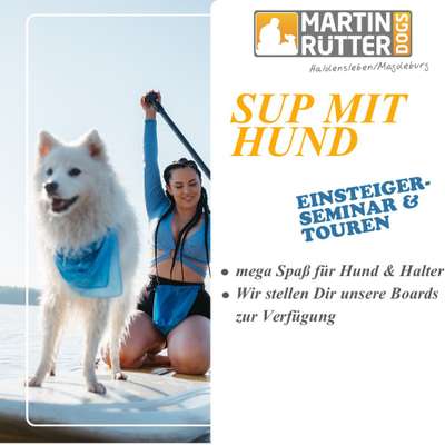 Giftköder-SUP mit Hund-Bild