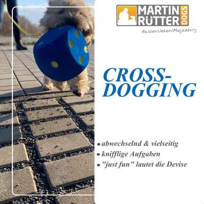 Giftköder-Crossdogging-Bild