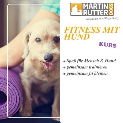 Giftköder-Fitness mit Hund-Bild