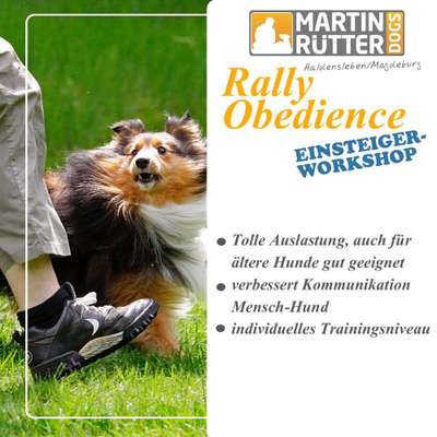 Giftköder-Rally Obedience-Bild