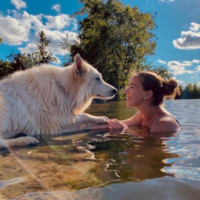 Hundetreffen-Gemütlicher Spaziergang-Profilbild