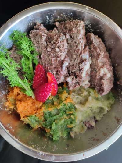 Zeigt her Eure Futternäpfe-Beitrag-Bild