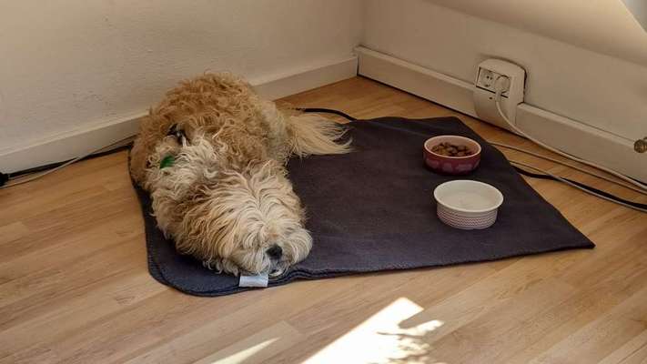 Zeigt her...-Beitrag-Bild