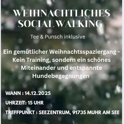 Hundetreffen-Weihnachtlicher Hundespaziergang-Bild