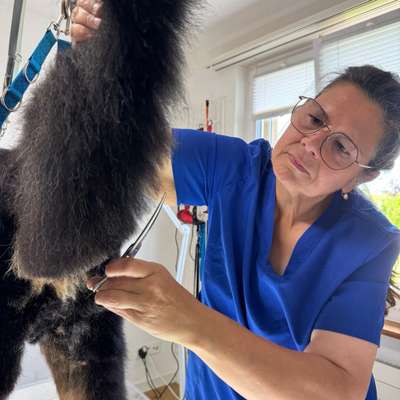 Hundefriseure-Belcanis Hunde-Katzenpflege-Bild