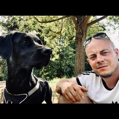 Hundetreffen-Gassi und Trainingsrunden-Profilbild