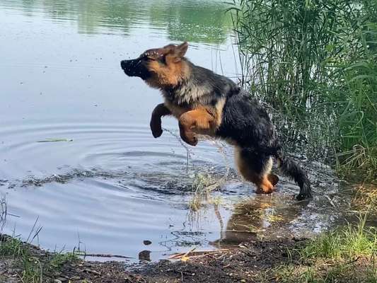 Fotochallenge Nr. 52 „Spring!“-Beitrag-Bild