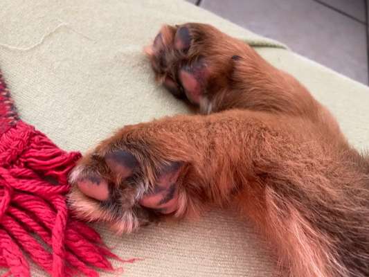 Blick fürs Detail!-Beitrag-Bild