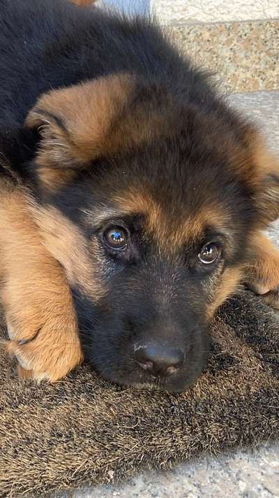 Fotochallange Nr. 57     PORTRÄT.   Beendet!!!!!!!!-Beitrag-Bild