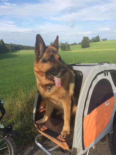 Fotochallenge 101:
On Tour-Beitrag-Bild