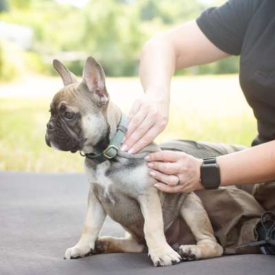 %{de_profession_title}-Physiotherapie-Bild