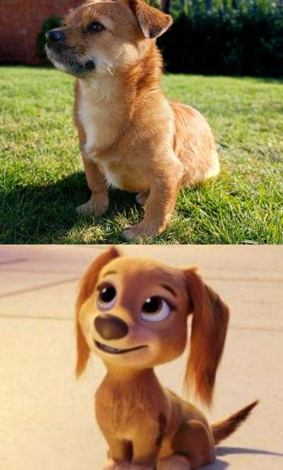 Moviestar-Pics!-Beitrag-Bild