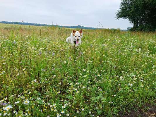 Theos  Fotochallenge Nummer 2-Beitrag-Bild