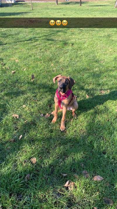 Farben Fotochallenge Thema ,,Grün"-Beitrag-Bild