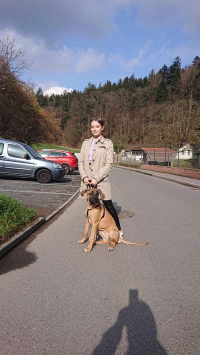 Mischlinge raten - Rätselspaß-Beitrag-Bild