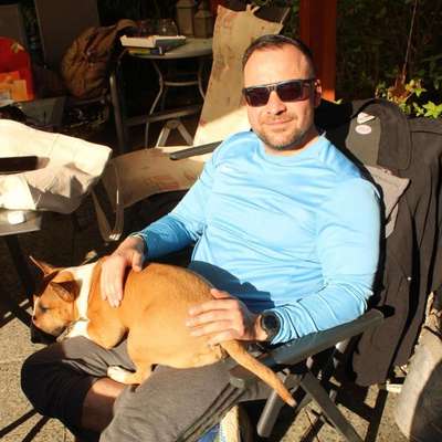 Hundetreffen-Gassi/Spielpartner gesucht