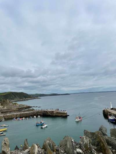 Urlaub in Großbritannien mit Senior-Hund-Beitrag-Bild