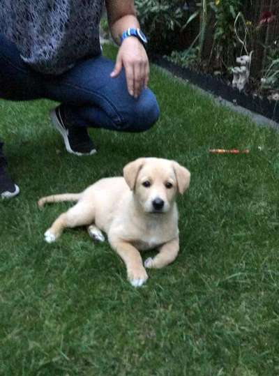 Erstes Bild-Beitrag-Bild