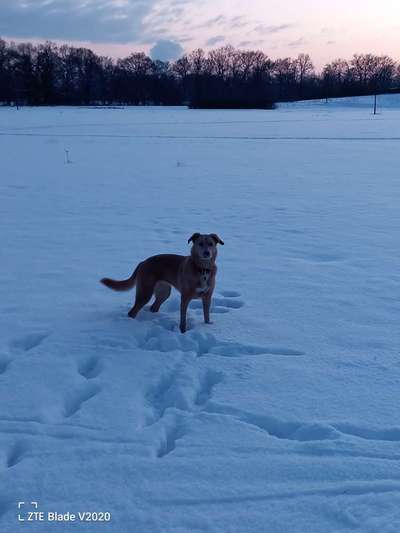 14. Farbenfoto-Challenge "Weiss"-Beitrag-Bild