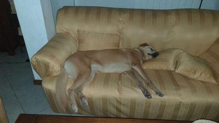 Foto Challenge Nr. 134-Beitrag-Bild