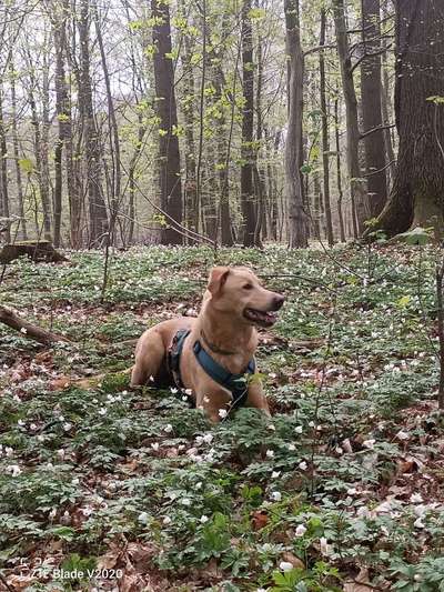 Fotochallenge 78

Es grünt und blüht-Beitrag-Bild