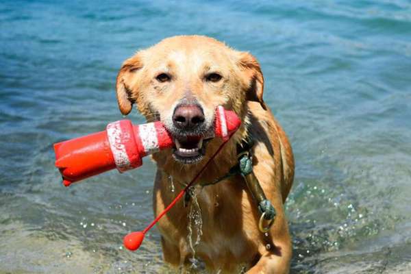 65. Handy Foto Challange                     "Ich kann nicht ohne..."-Beitrag-Bild